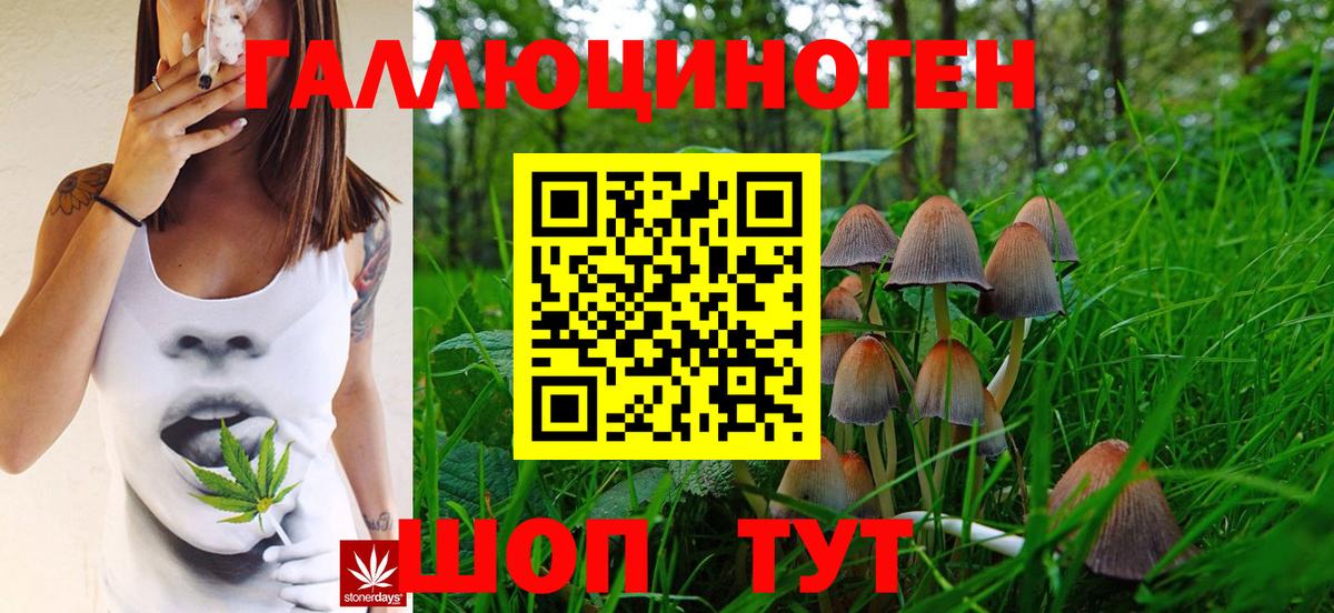 дарнет шоп  Вход с VPN  Ахтубинск  Галлюциногенные грибы Cubensis 