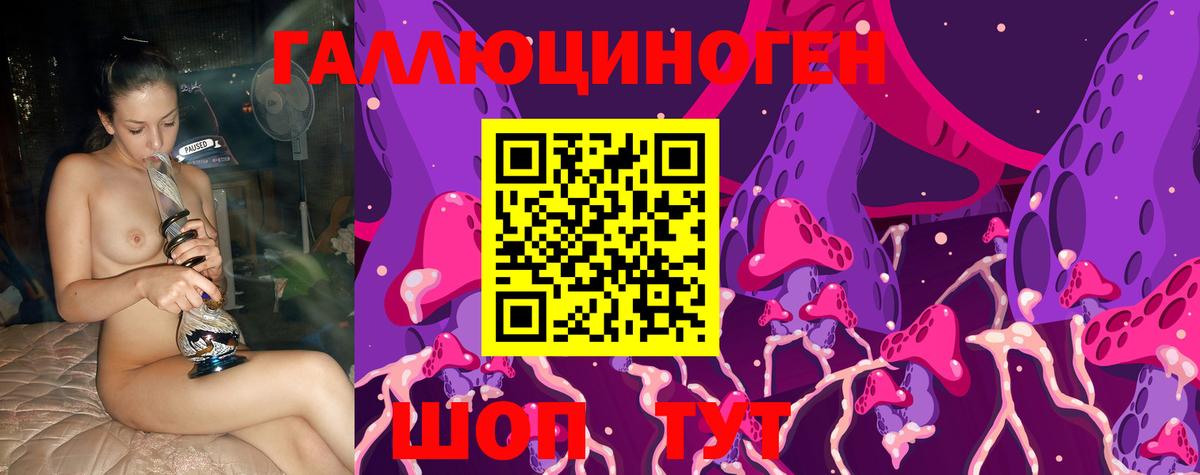 Псилоцибиновые грибы Psilocybine cubensis Ахтубинск
